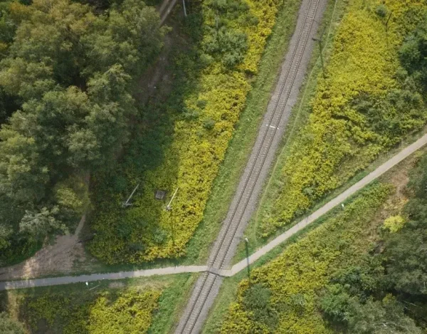 Railroad Aerial photo