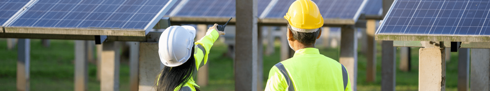 People at Solar farm