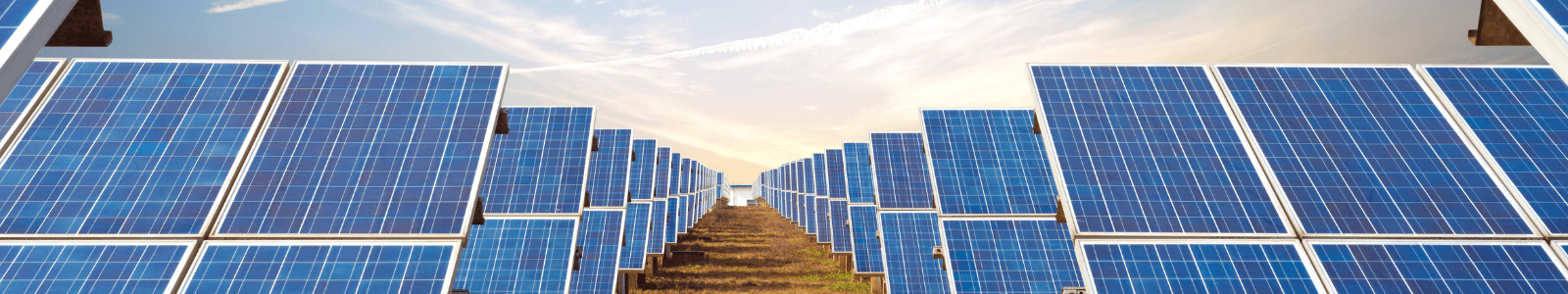 Solar panel farm